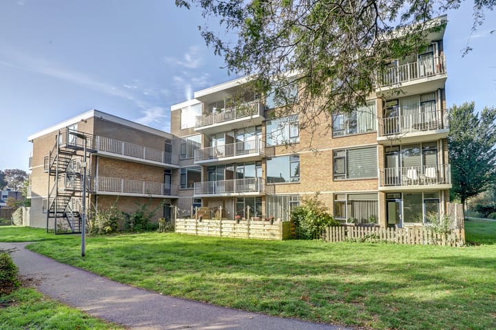 Henegouwen 79 main image