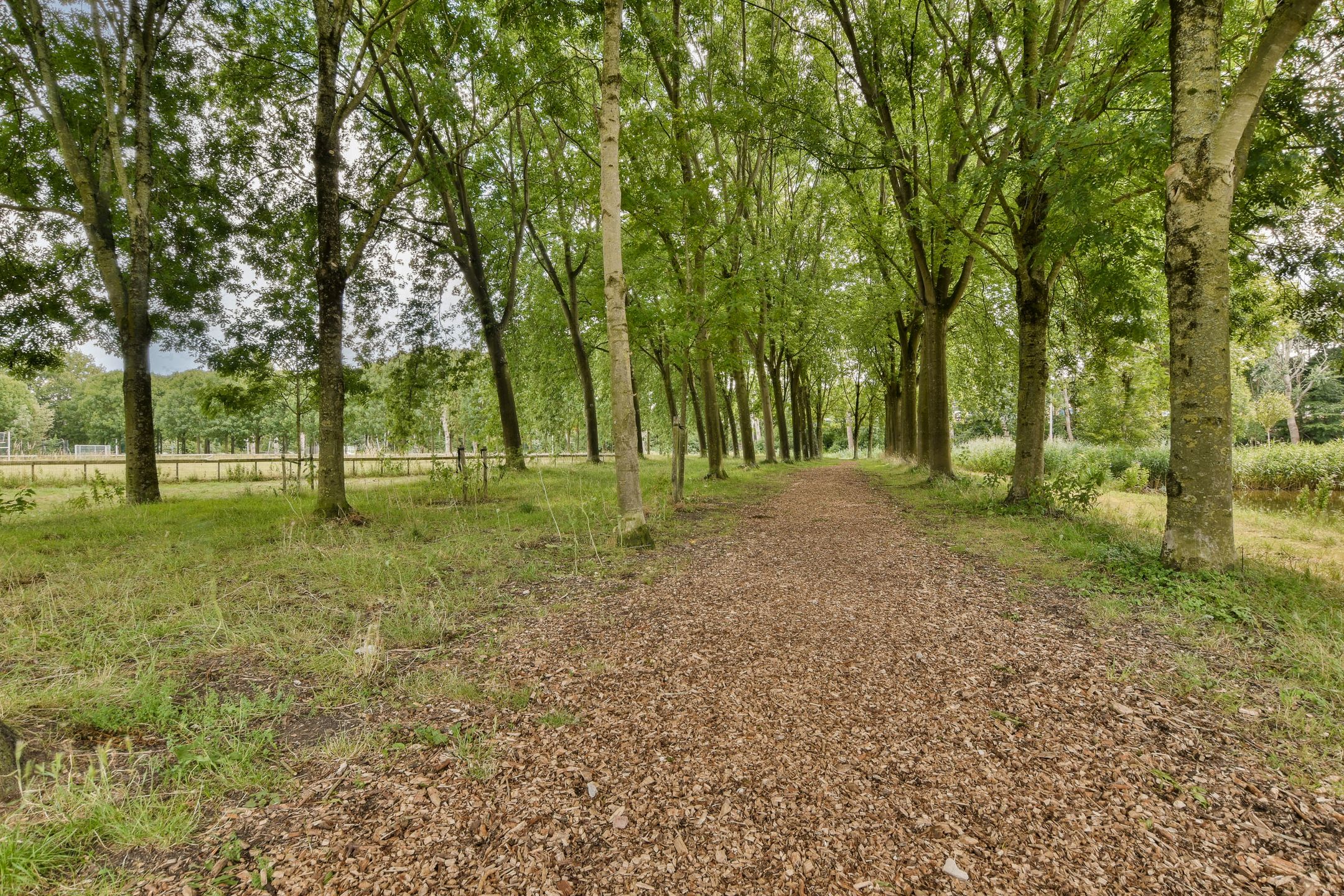 Foto 45 van Boterbloem 8