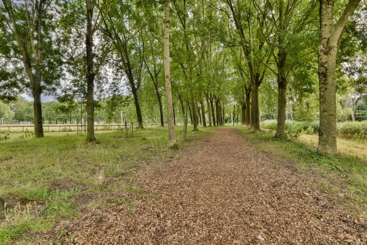 Photo 45 of Boterbloem 8