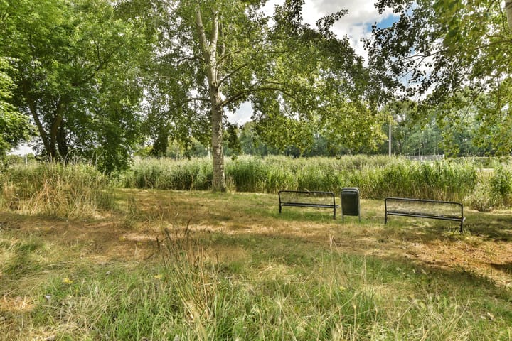 Photo 46 of Boterbloem 8