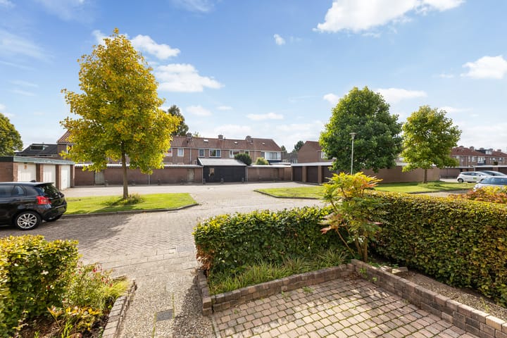 Foto 4 van Evergunne 11