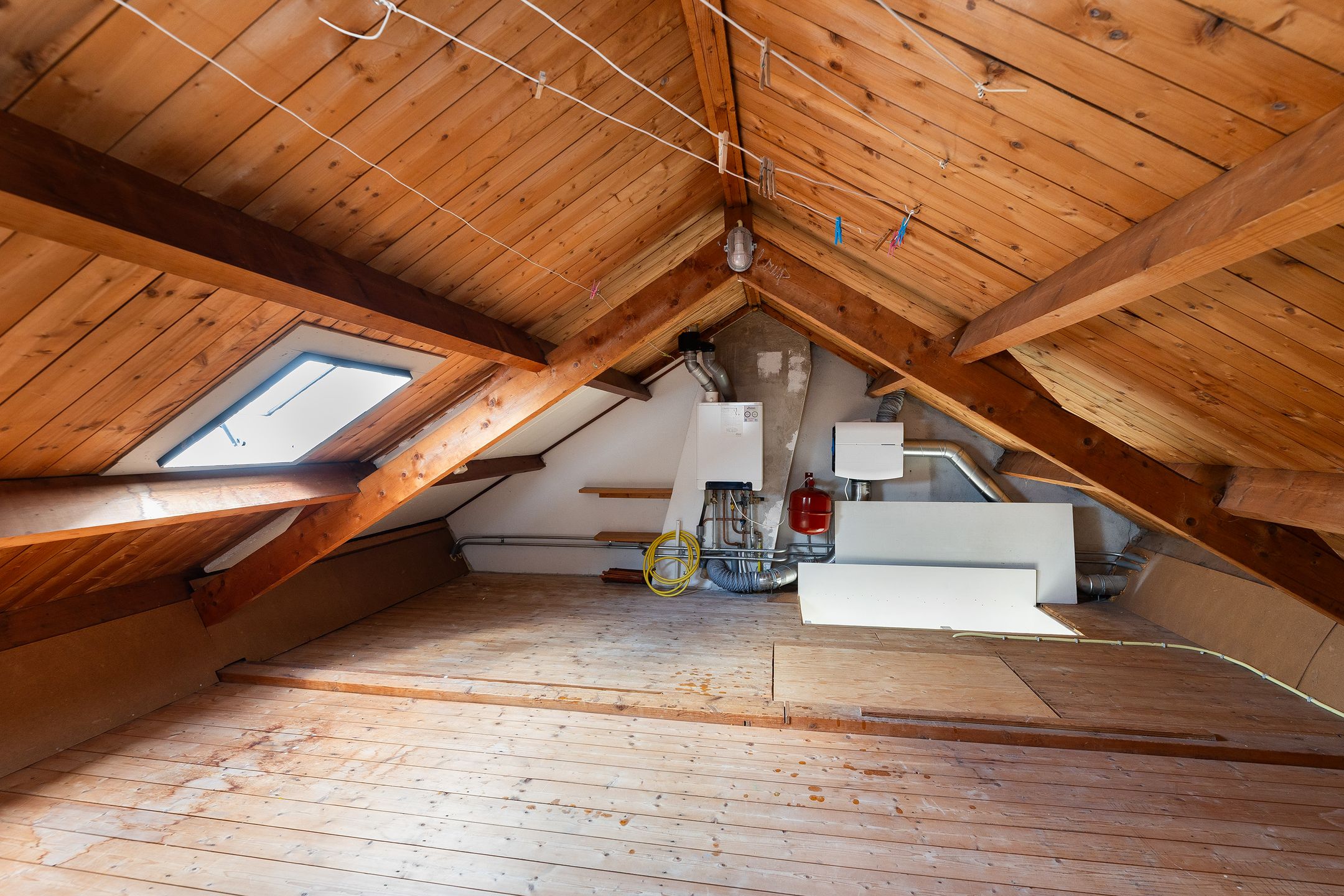 Foto 18 van Evergunne 11