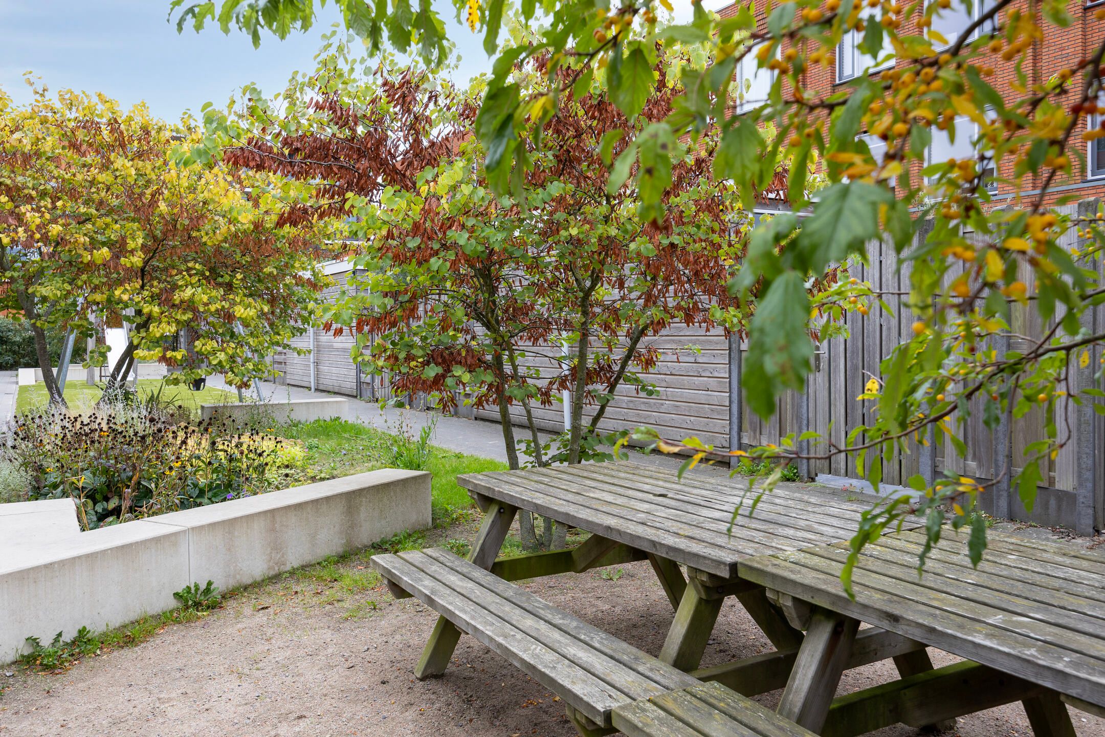 Photo 42 of Hongarenburg 263