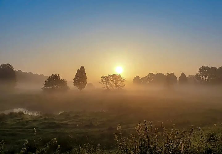 Foto 41 van Beekstraat 56