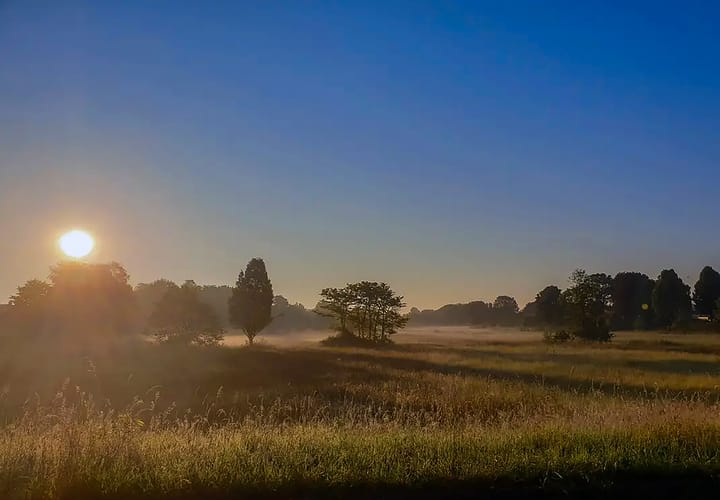 Foto 42 van Beekstraat 56