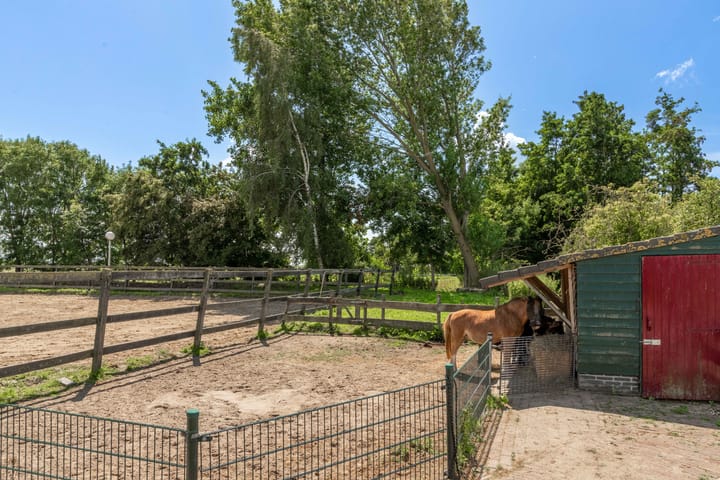 Photo 57 of Westdijk 22