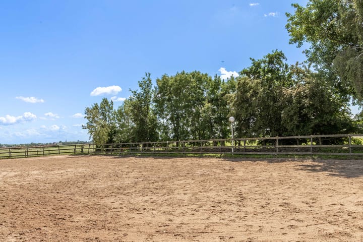 Photo 59 of Westdijk 22