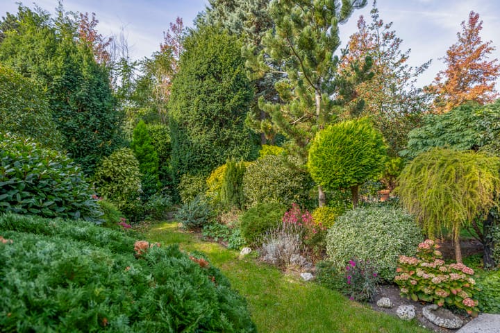 Foto 17 van Tourmalijn 44