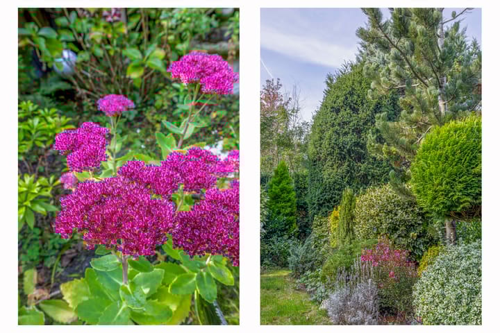 Foto 18 van Tourmalijn 44