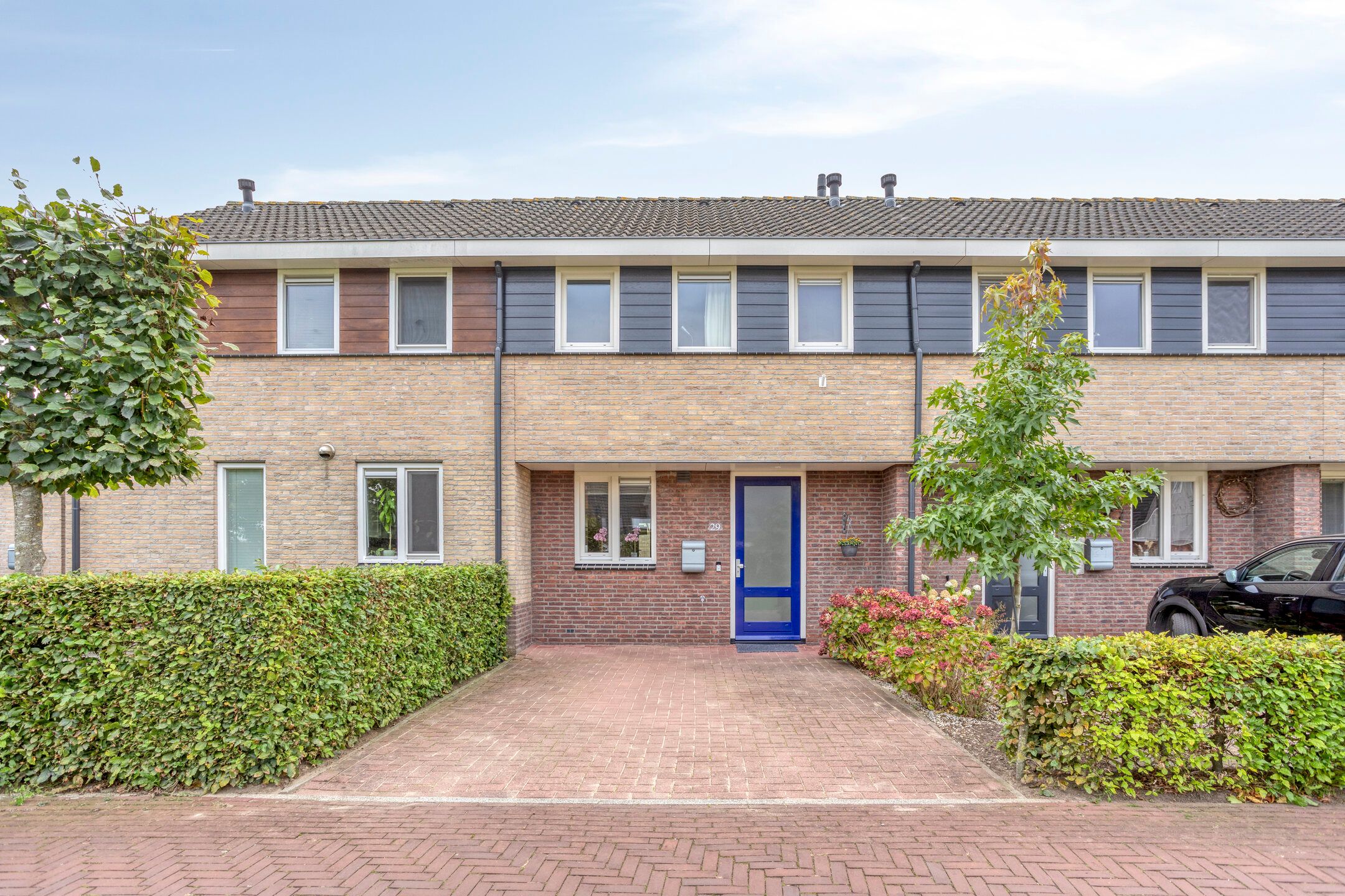 Photo 6 of Tusculum 29