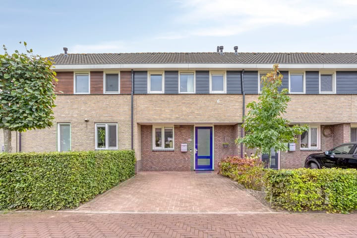 Photo 6 of Tusculum 29