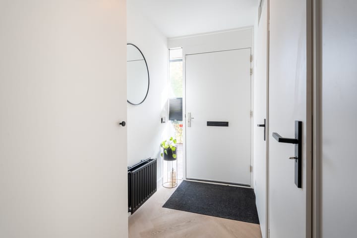 Photo 5 of Zandoogjes 40