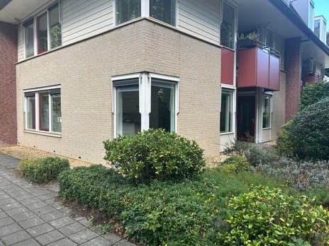 undefined main image