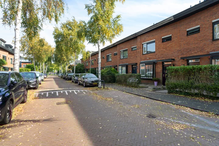 Photo 41 of Farmanstraat 12