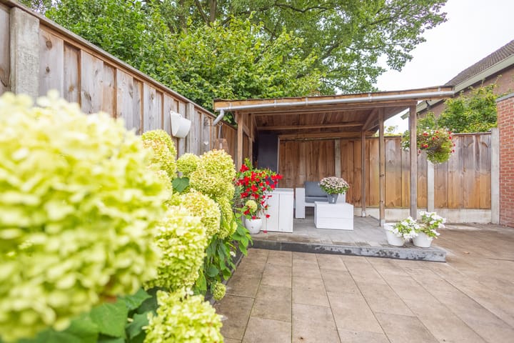 Photo 37 of Geelster 31