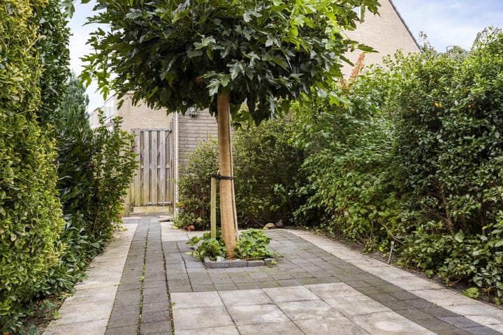 Foto 3 van Annie Salomonshof 43