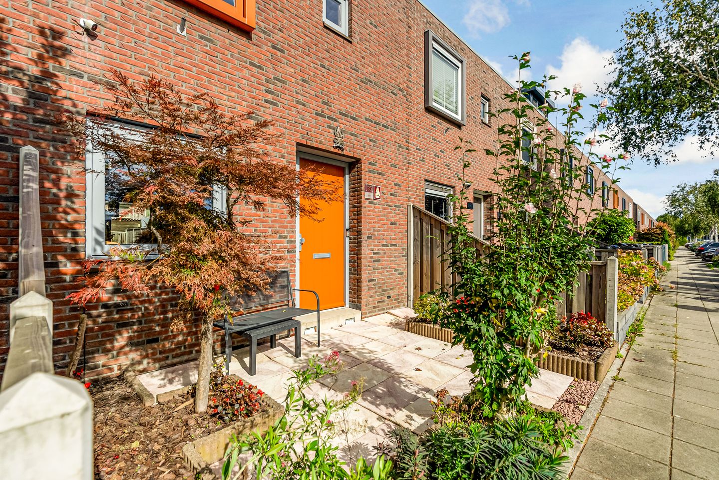 Photo 4 of Salvador Daliplantsoen 25