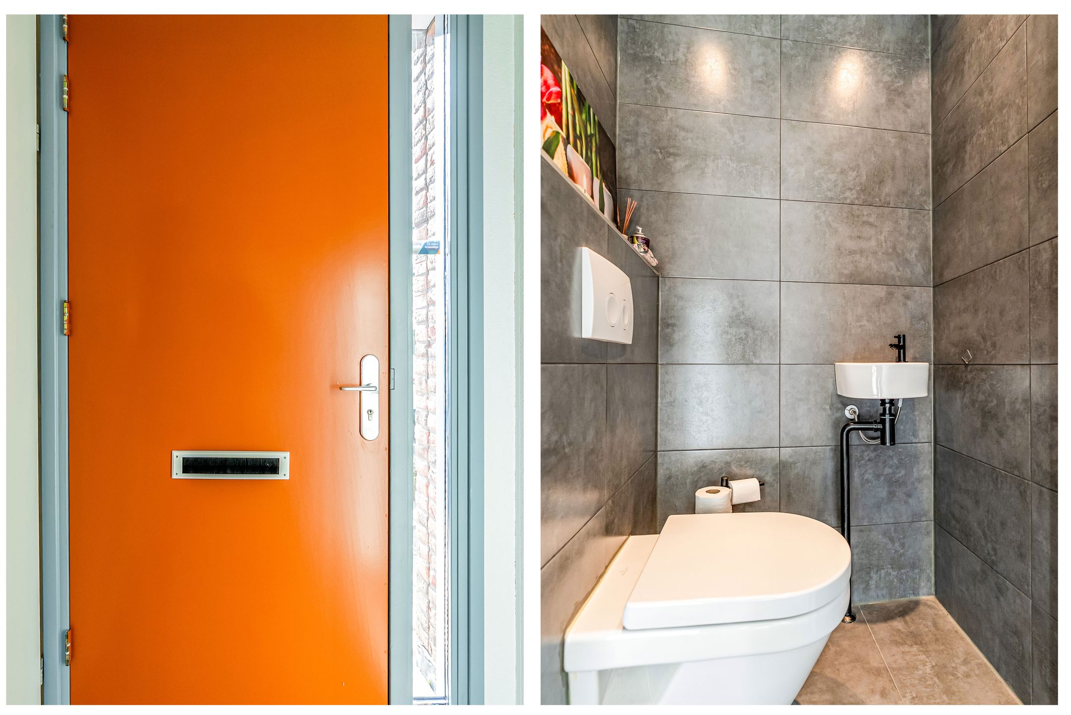 Photo 6 of Salvador Daliplantsoen 25