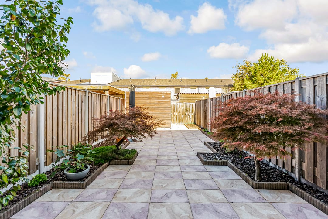 Photo 11 of Salvador Daliplantsoen 25