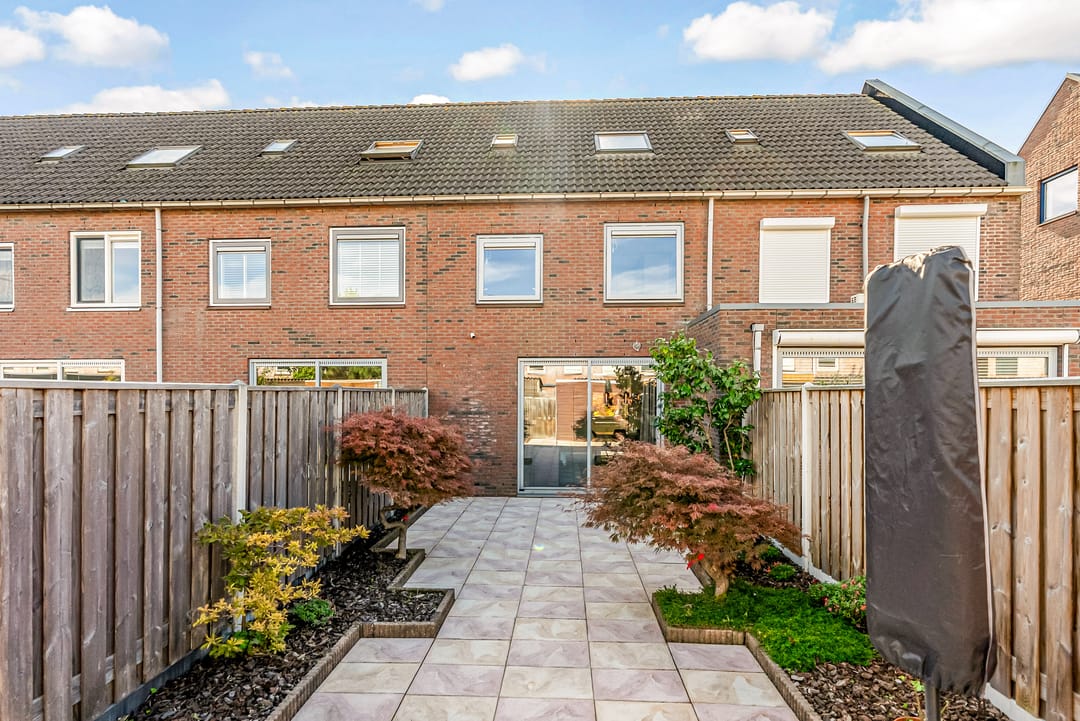 Photo 13 of Salvador Daliplantsoen 25