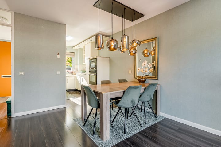 Foto 16 van Salvador Daliplantsoen 25