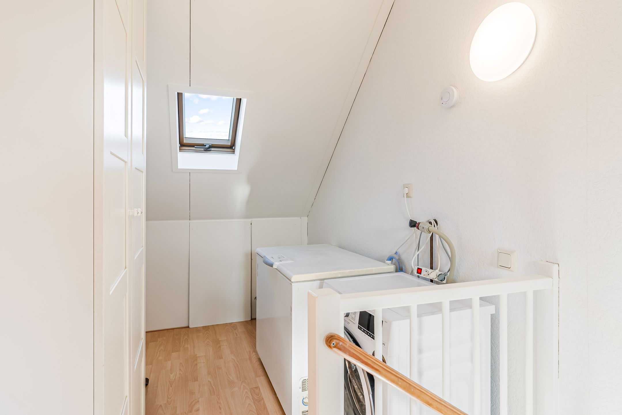 Photo 27 of Salvador Daliplantsoen 25