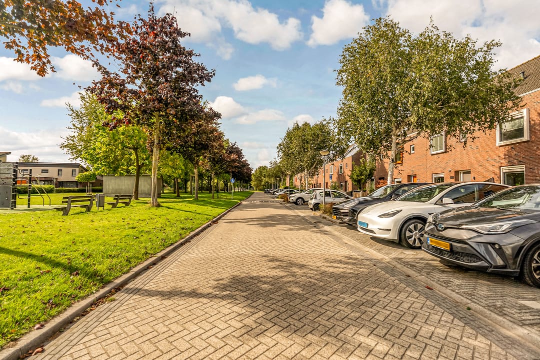 Photo 31 of Salvador Daliplantsoen 25