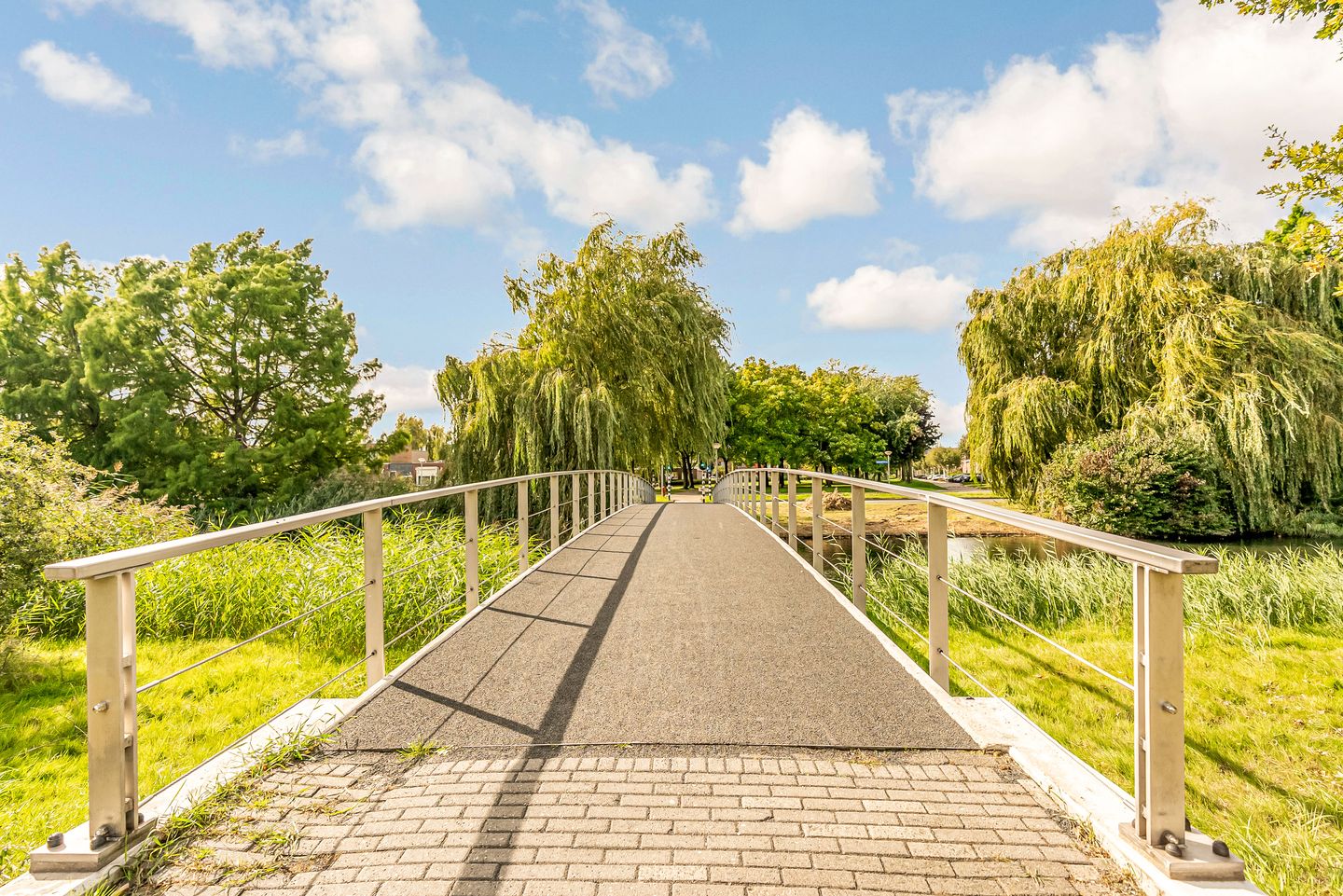 Photo 34 of Salvador Daliplantsoen 25