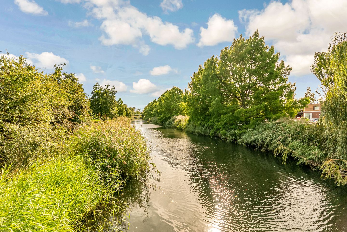 Photo 35 of Salvador Daliplantsoen 25