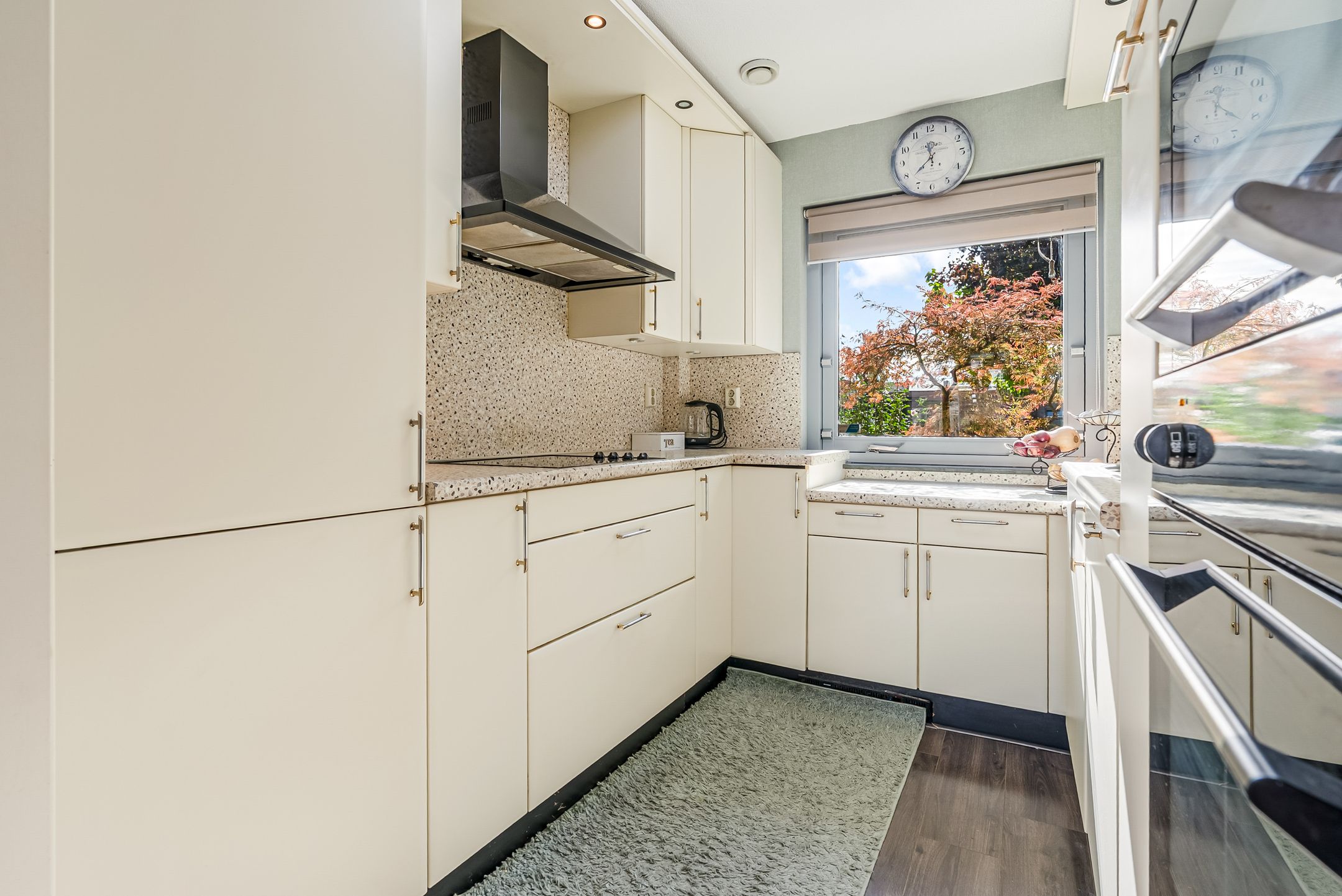 Photo 18 of Salvador Daliplantsoen 25