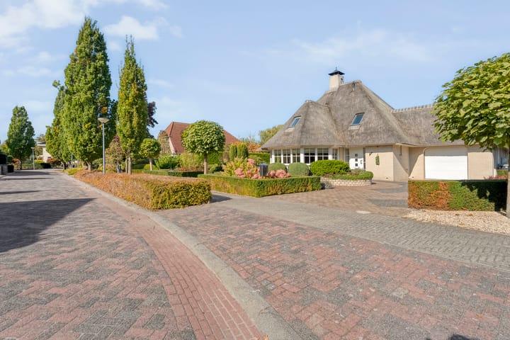 Foto 10 van Watersnip 13