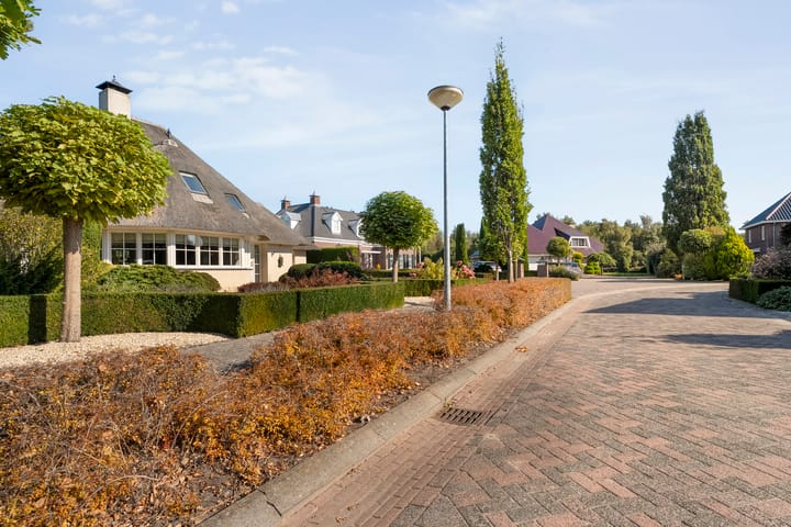 Foto 11 van Watersnip 13