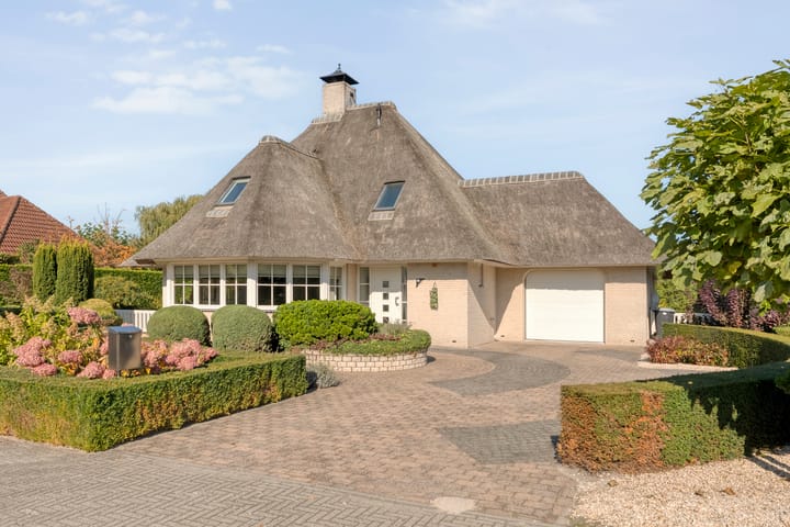 Foto 12 van Watersnip 13