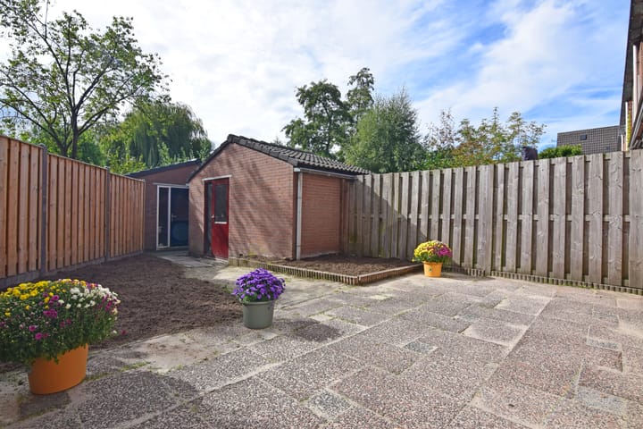 Foto 24 van Shetlands 25