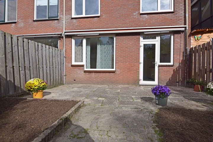 Foto 26 van Shetlands 25