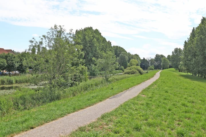 Foto 32 van Shetlands 25