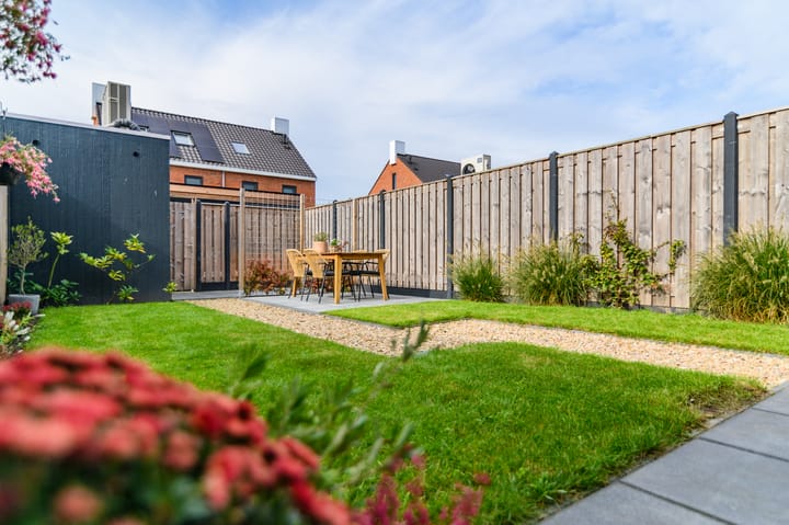 Photo 13 of It Fluen 12