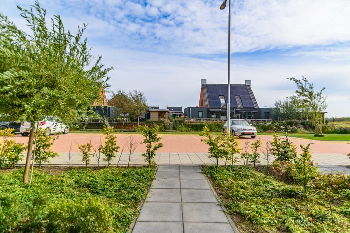 Photo 38 of It Fluen 12