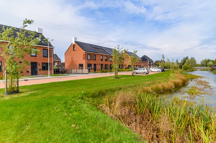 Photo 40 of It Fluen 12