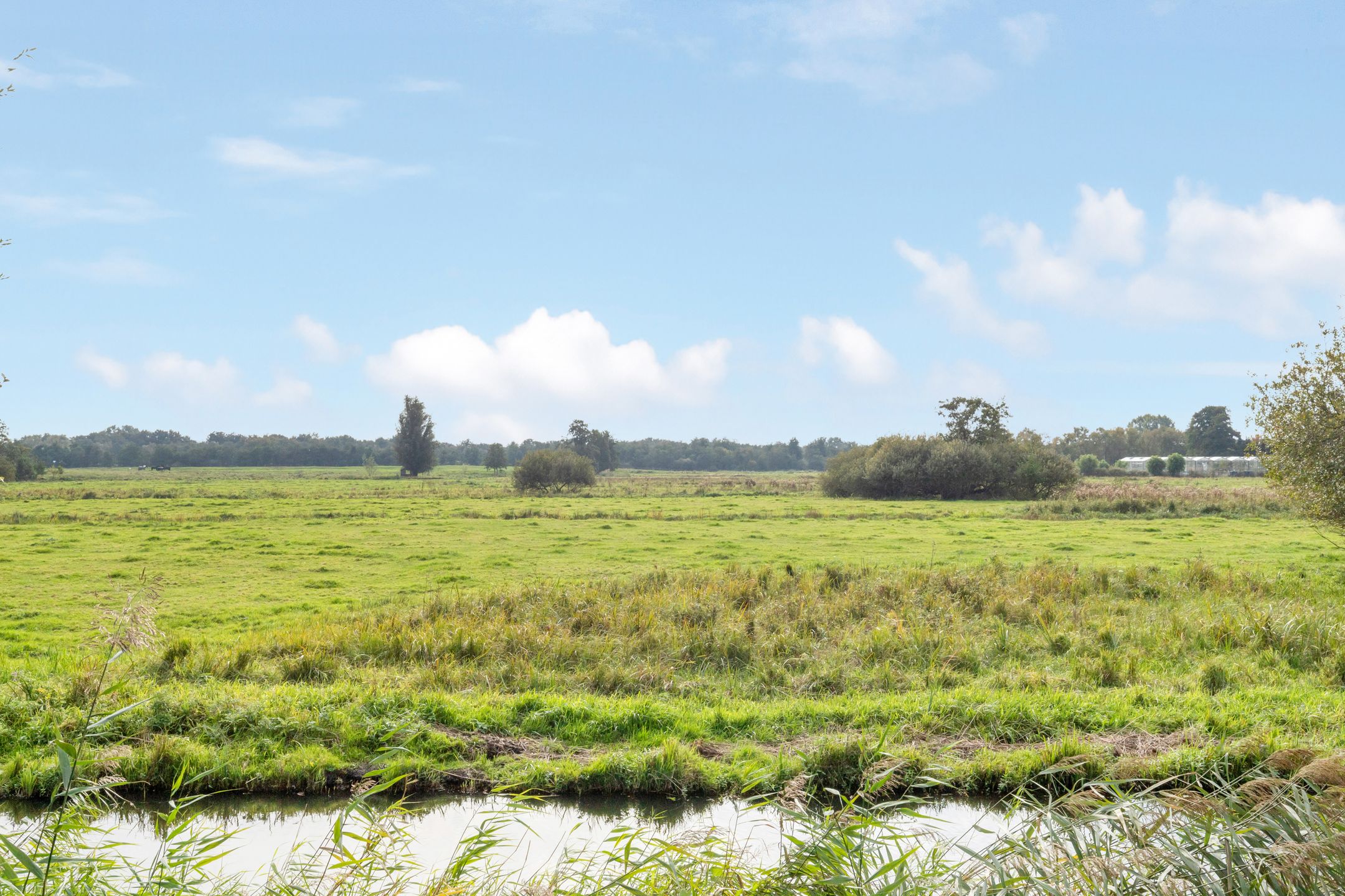 Foto 45 van Hoflaan 33