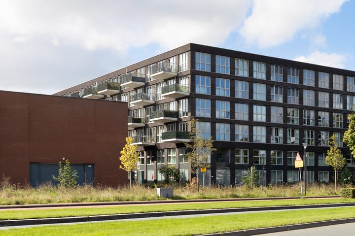 Photo 2 of Lapis Lazuli 129