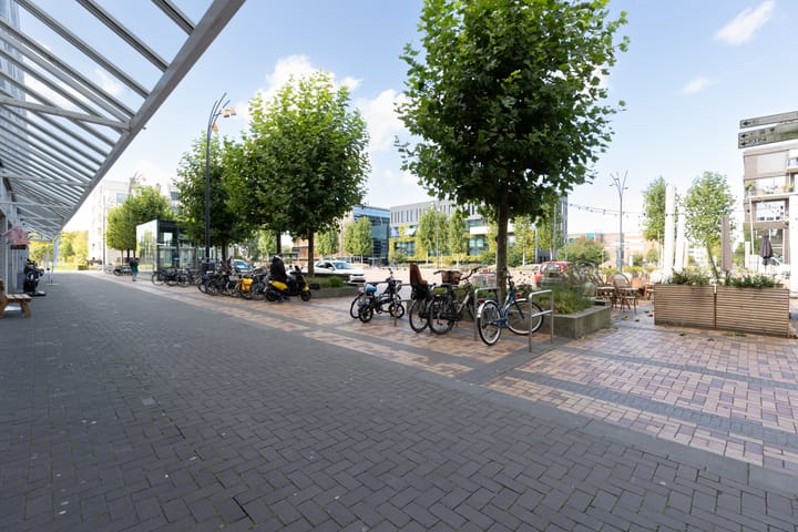 Photo 37 of Lapis Lazuli 129