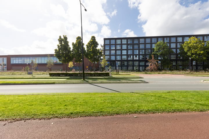 Photo 40 of Lapis Lazuli 129