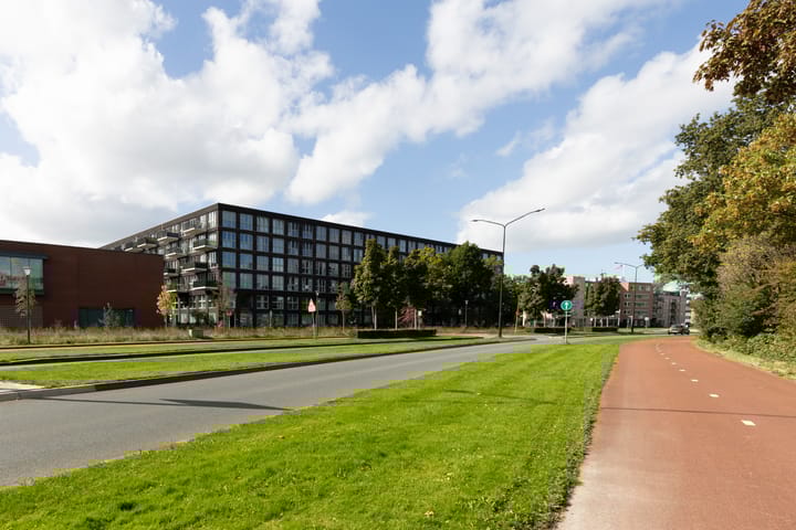 Photo 41 of Lapis Lazuli 129