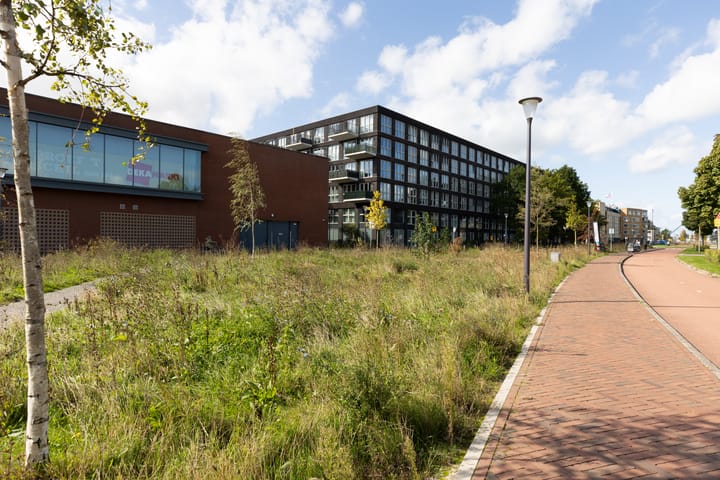 Photo 42 of Lapis Lazuli 129