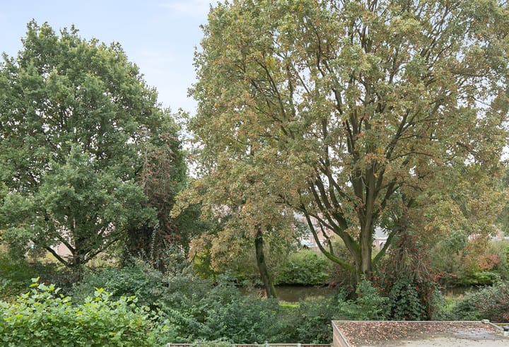 Photo 32 of Orleanshof 5