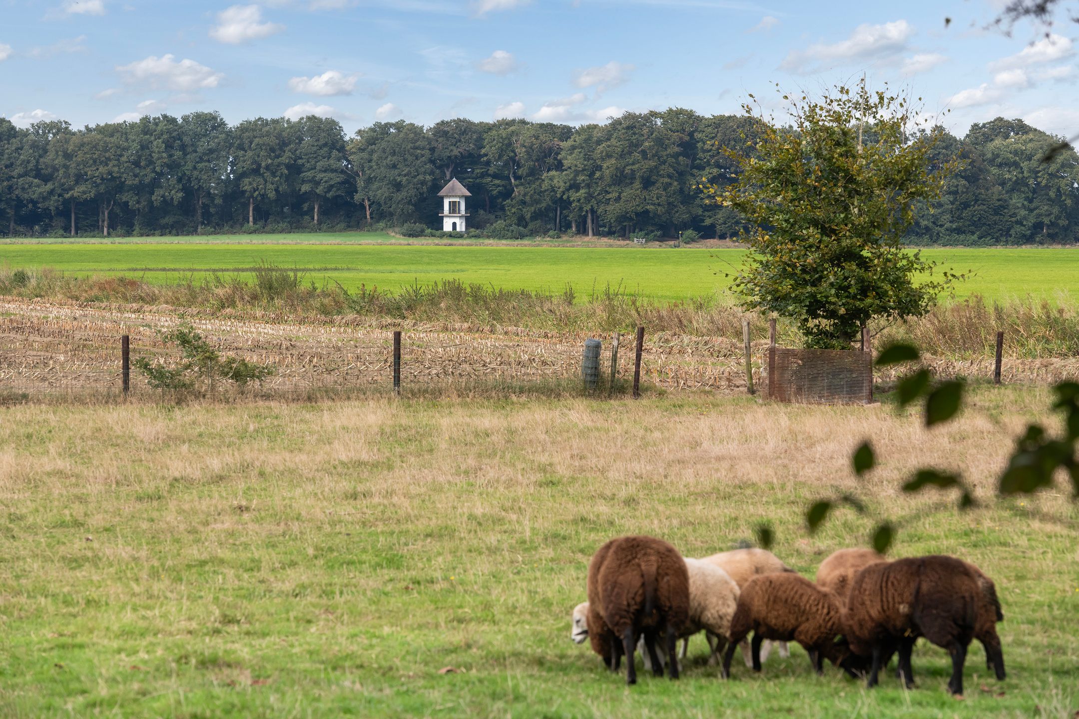 Foto 12 van Lageweg 14