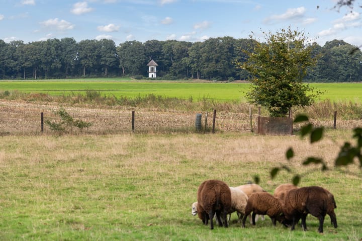 Foto 12 van Lageweg 14