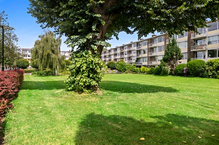 Photo 34 of Prins Hendrikplein 53