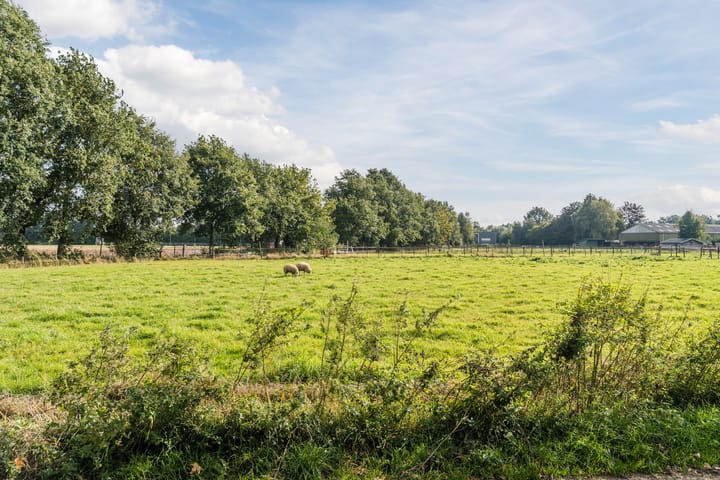 Foto 51 van Ruurd Visserstraat 58